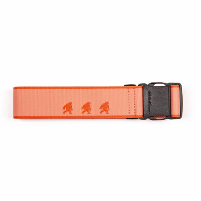 Eddie Bauer Women's Trail Active Stretch Webbing Belt - Sasquatch