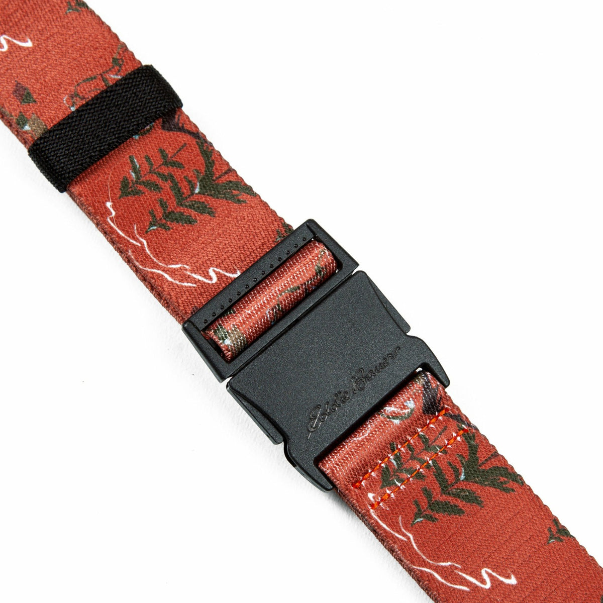 Eddie Bauer Men's Trail Graphic Active Stretch Belt