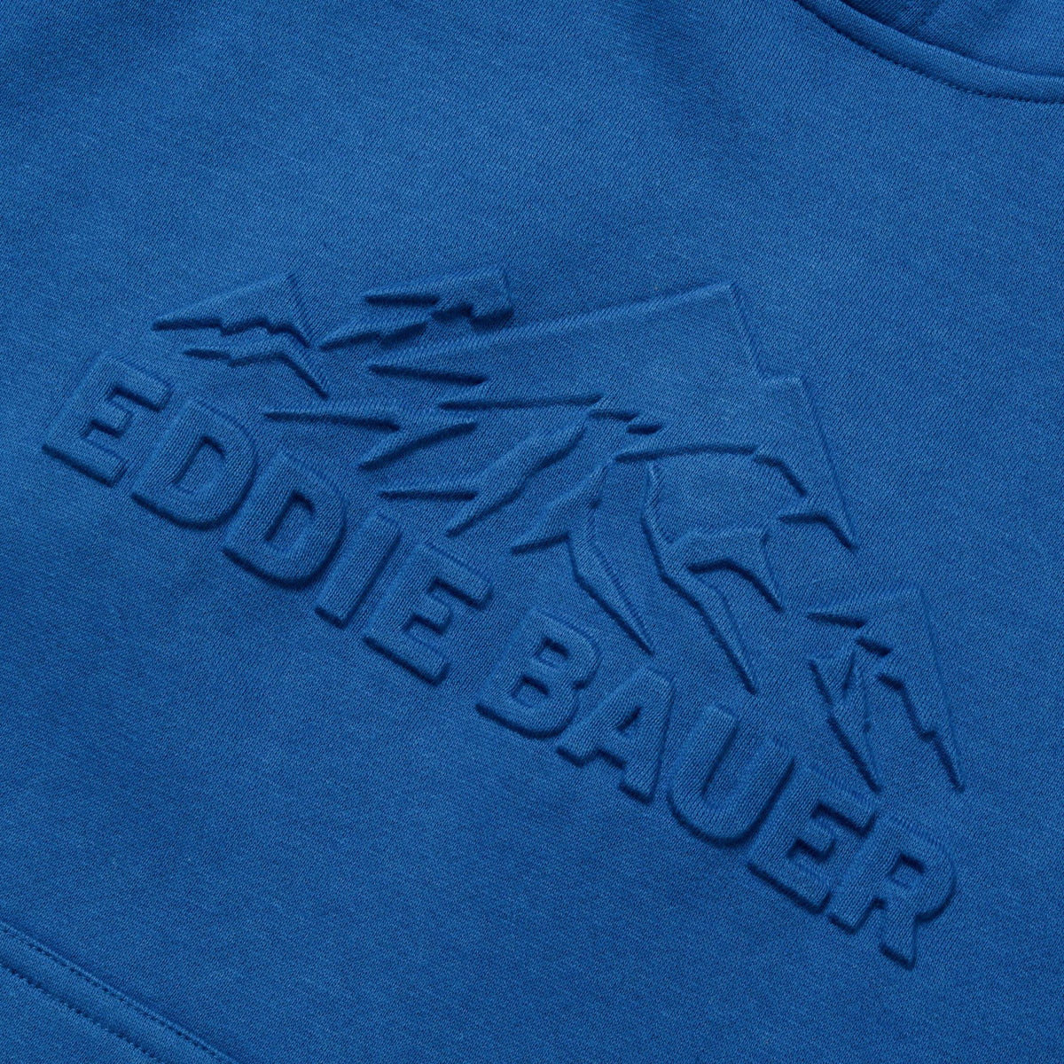 Eddie Bauer Kids Boys Graphic Camp Fleece Hoodie