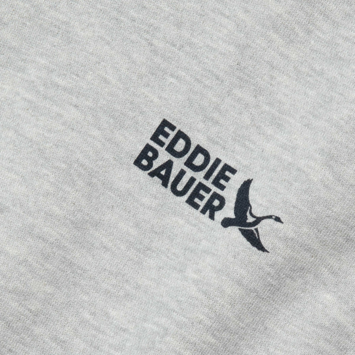 Eddie Bauer Kids Boys Graphic Camp Fleece Hoodie