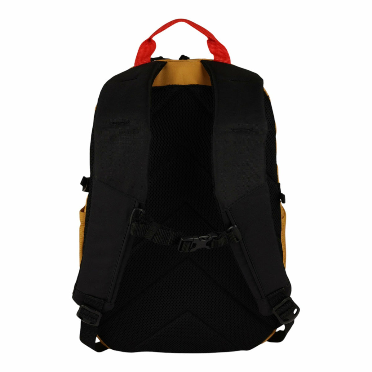 Eddie Bauer VARSITY 22L BACKPACK