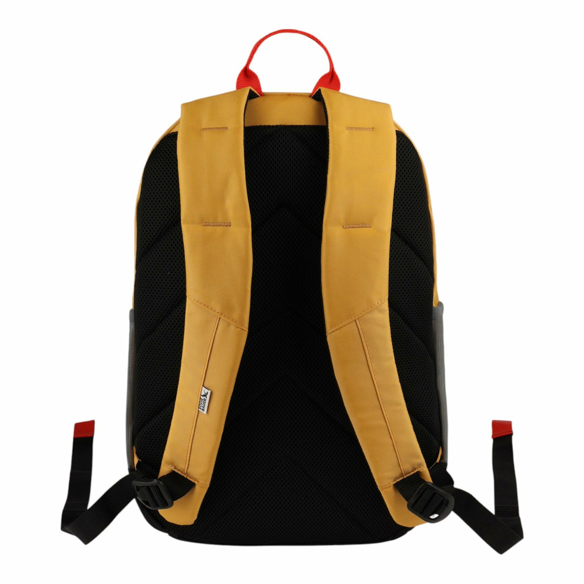 Eddie Bauer UNIVERSITY 22L BACKPACK