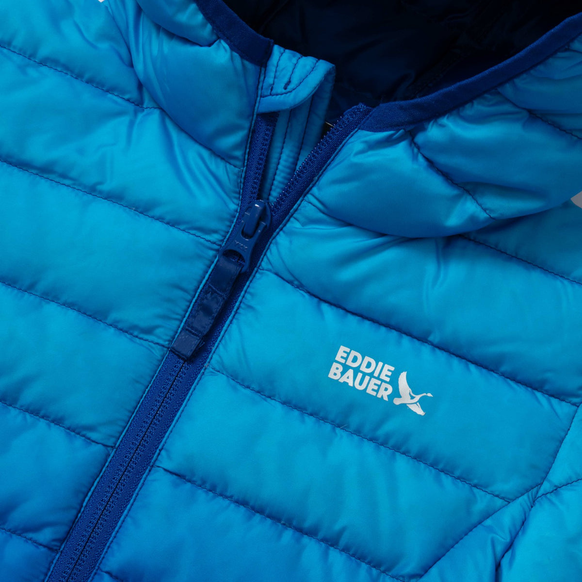 Eddie Bauer Kids Kids Cirruslite Down Hooded Jacket - Print