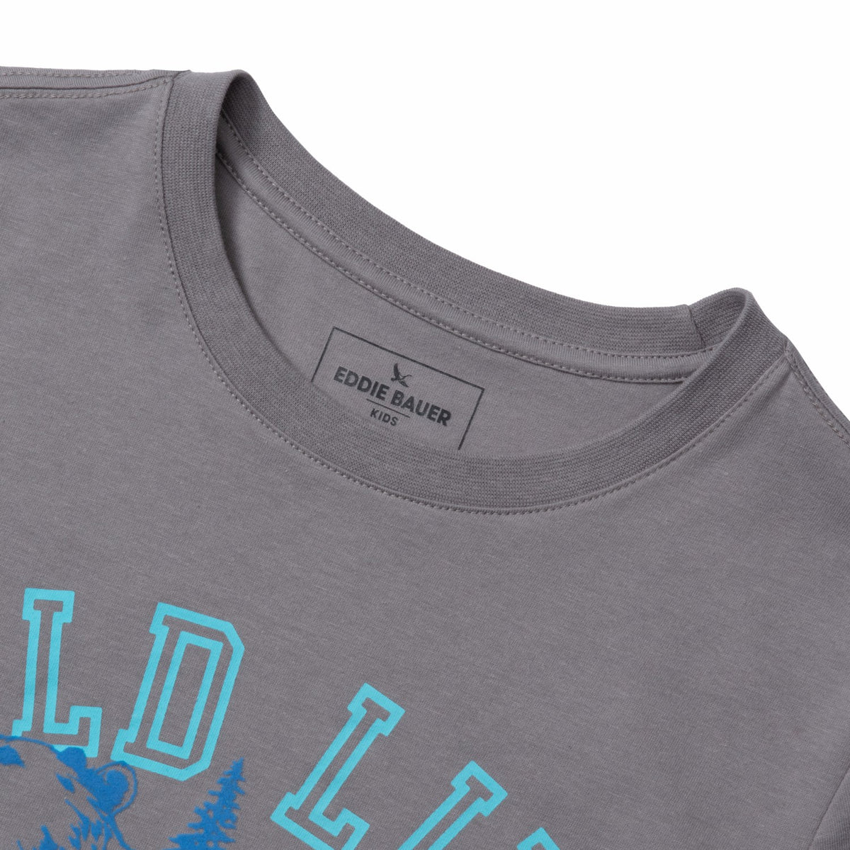 Eddie Bauer Boys SS Graphic T-Shirt
