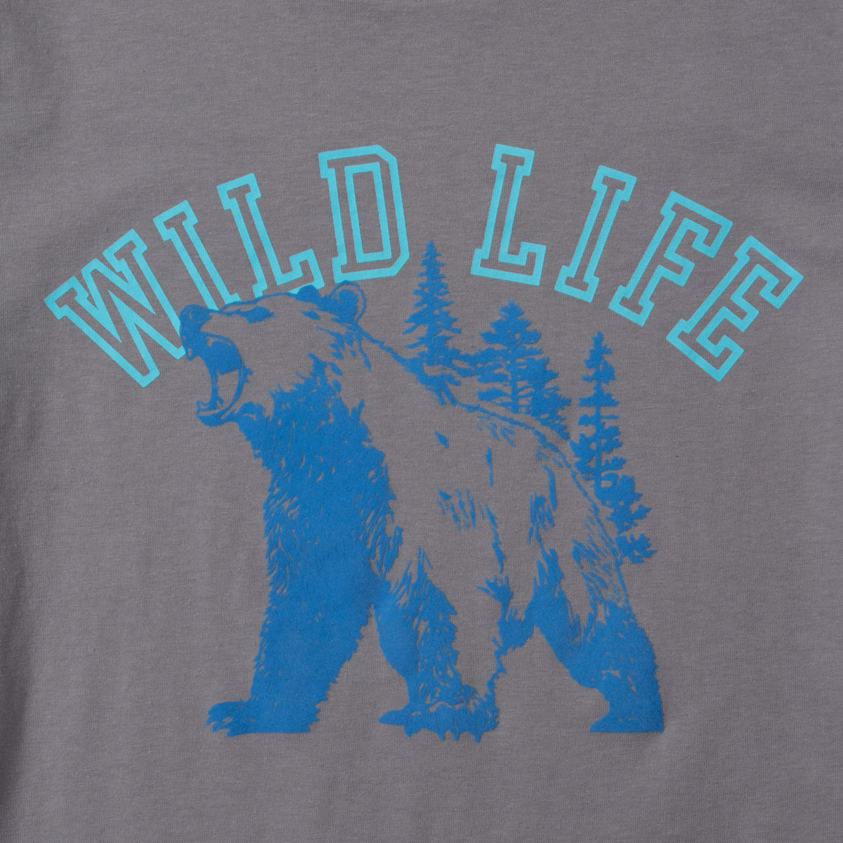 Eddie Bauer Boys SS Graphic T-Shirt